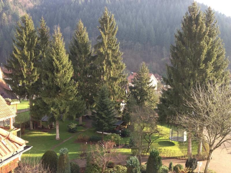 Hotel Garni Cafe Schacher Oberwolfach エクステリア 写真